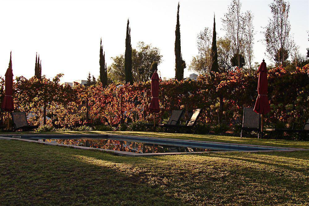 Gasthuis Galenia Estate Montagu